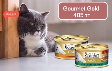 Akcya-Gourmet-485 .jpg